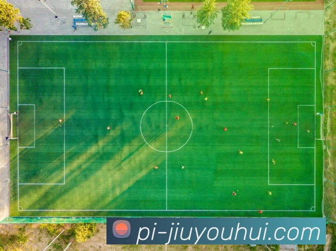 J9九游会官网平台生态图